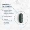 Metagenics PhytoMulti Multivitamin Without Iron - Daily Multivitamin for Overall Health & Aging - 20+ Essential Vitamins & Minerals - with Vitamin B6, Lutein, Zeaxanthin & More - 120 Tablets - Image 2