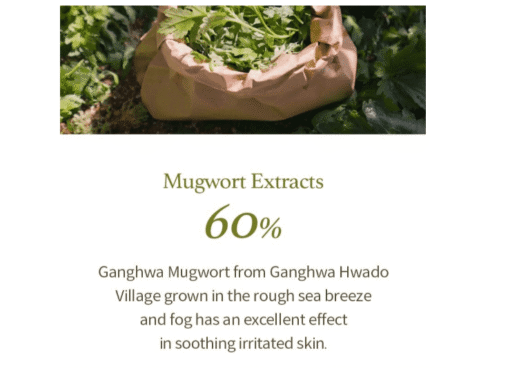 Mugwort Gel Cleanser