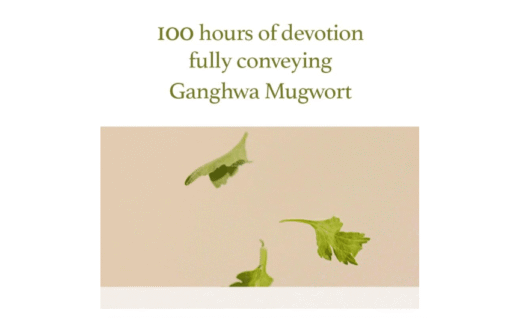 Mugwort Gel Cleanser