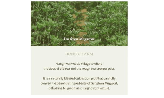 Mugwort Gel Cleanser